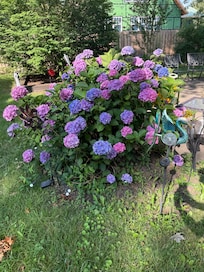 Beautiful flowers and many solar-lit at night as well.