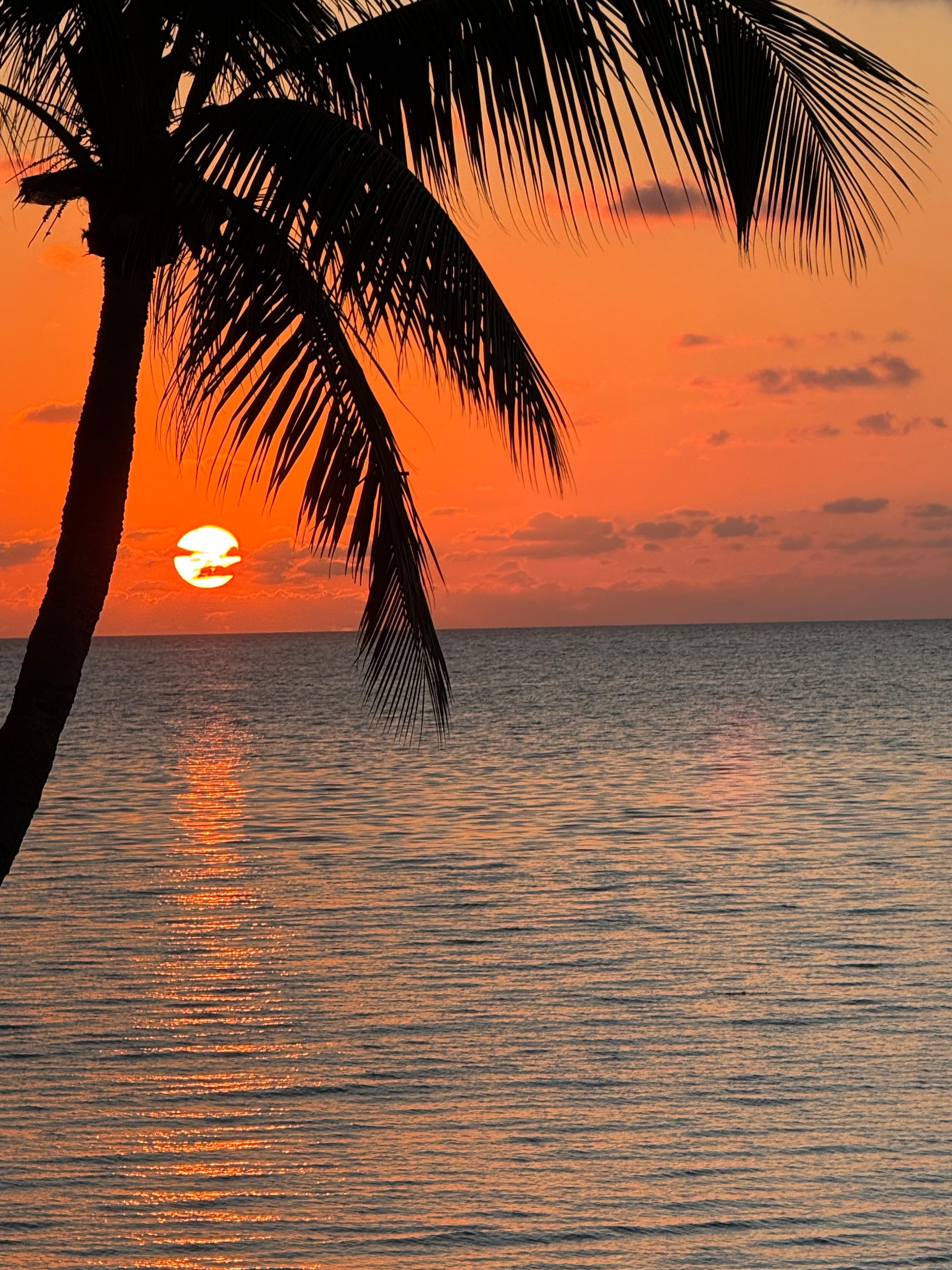 Sunrise at Southwind.