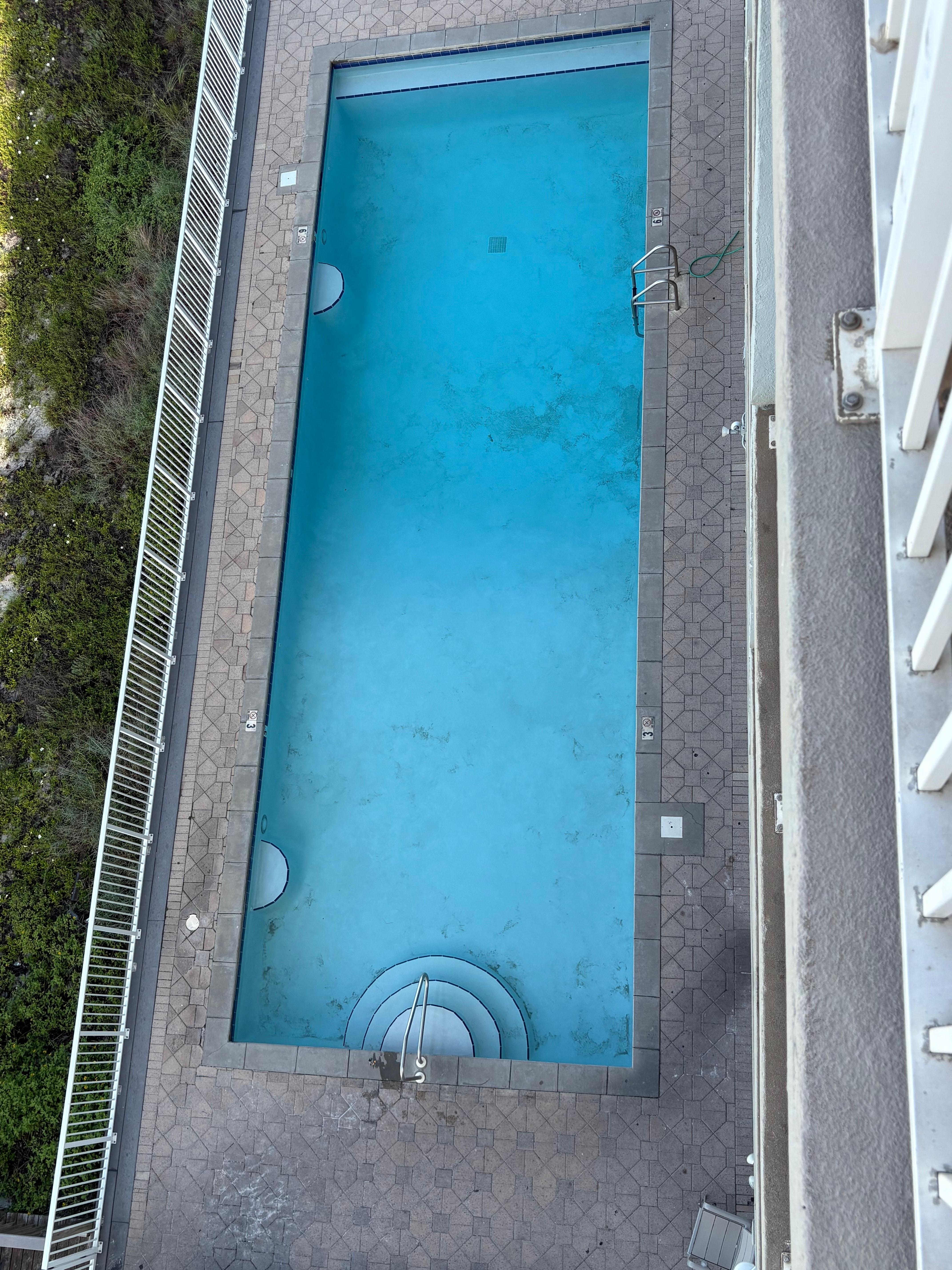 Our pool