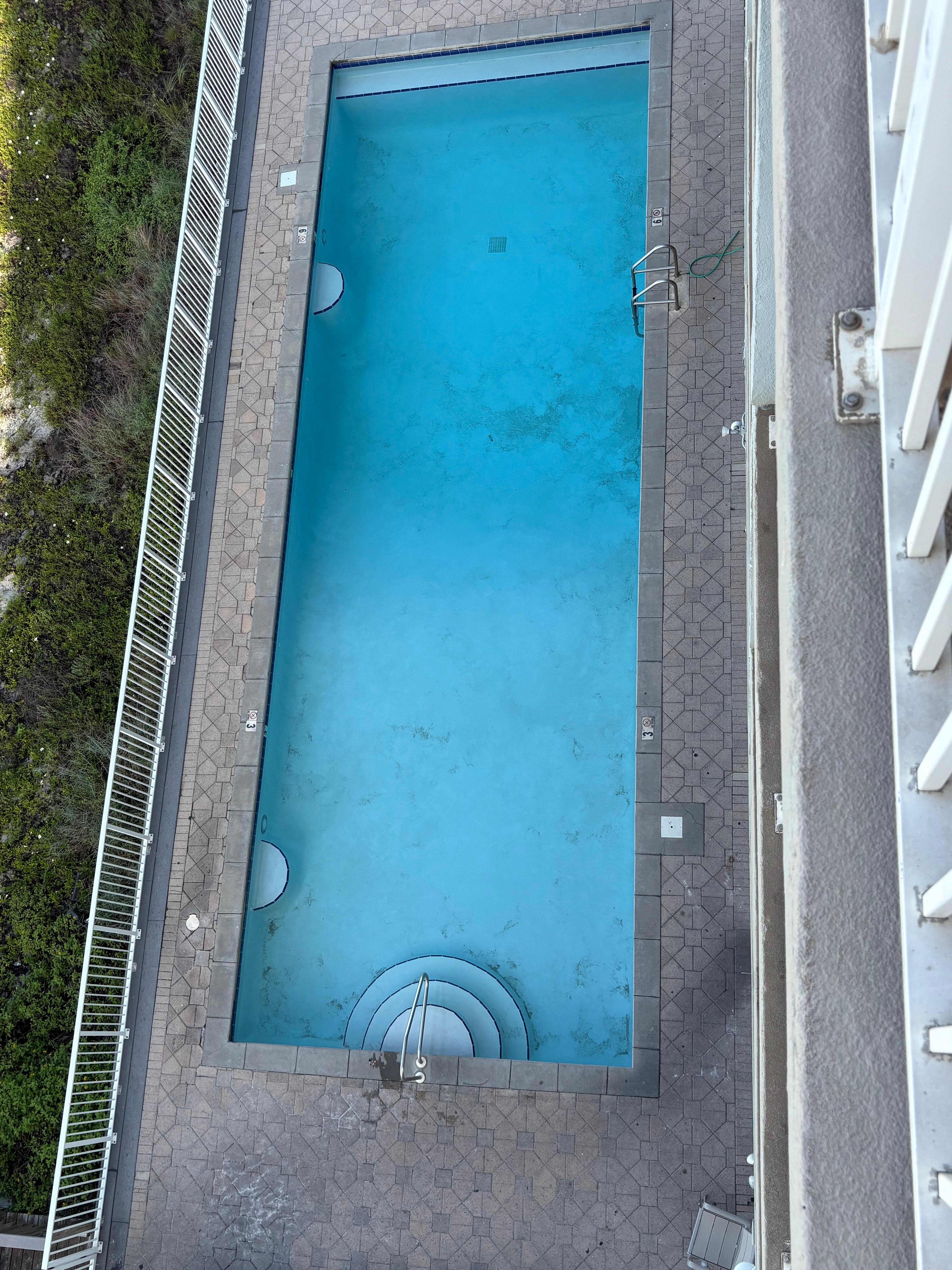 Our pool