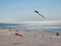 Saturday kite show