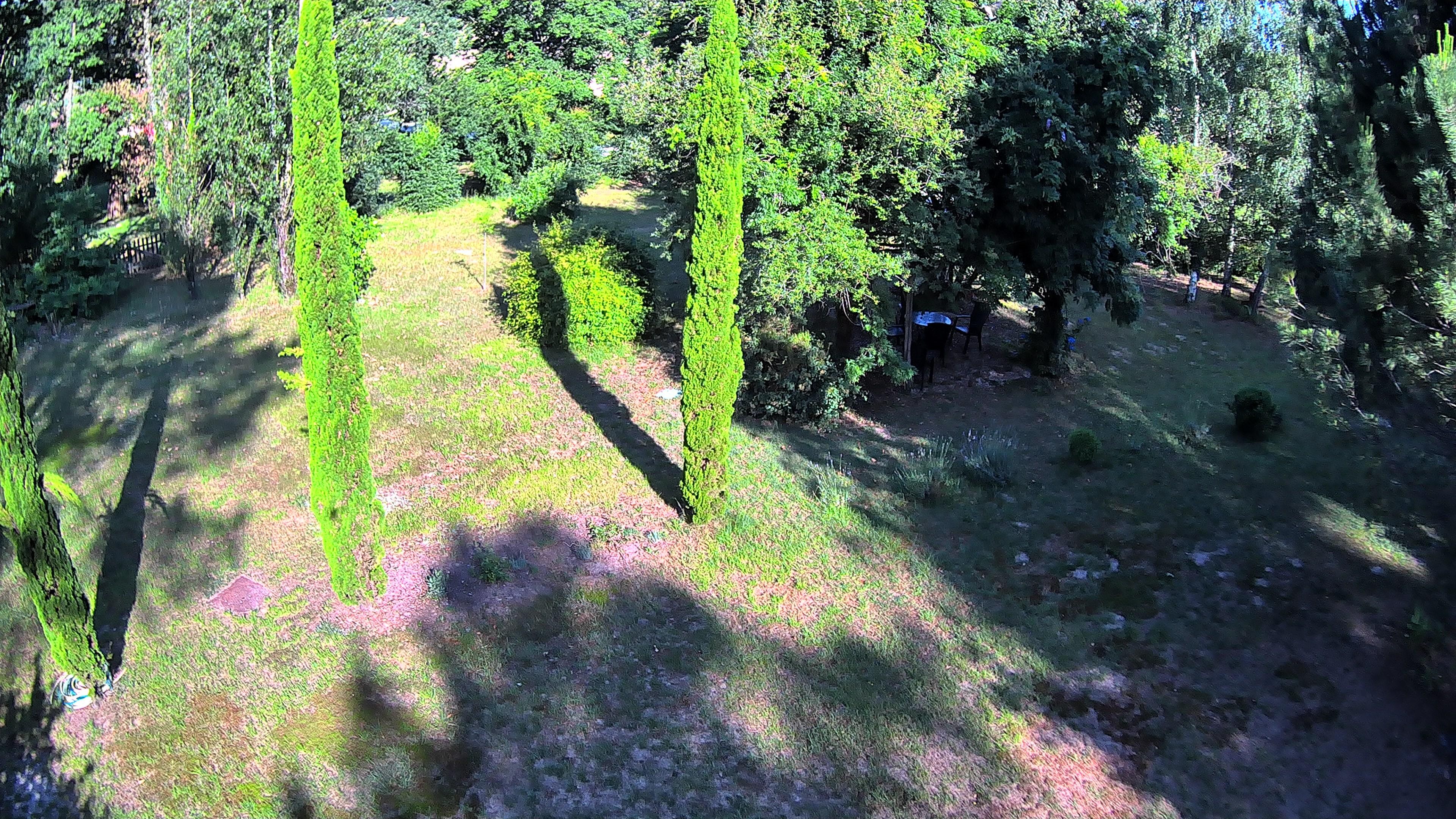 Garden area - Side of the house