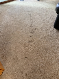 Dirty carpets
