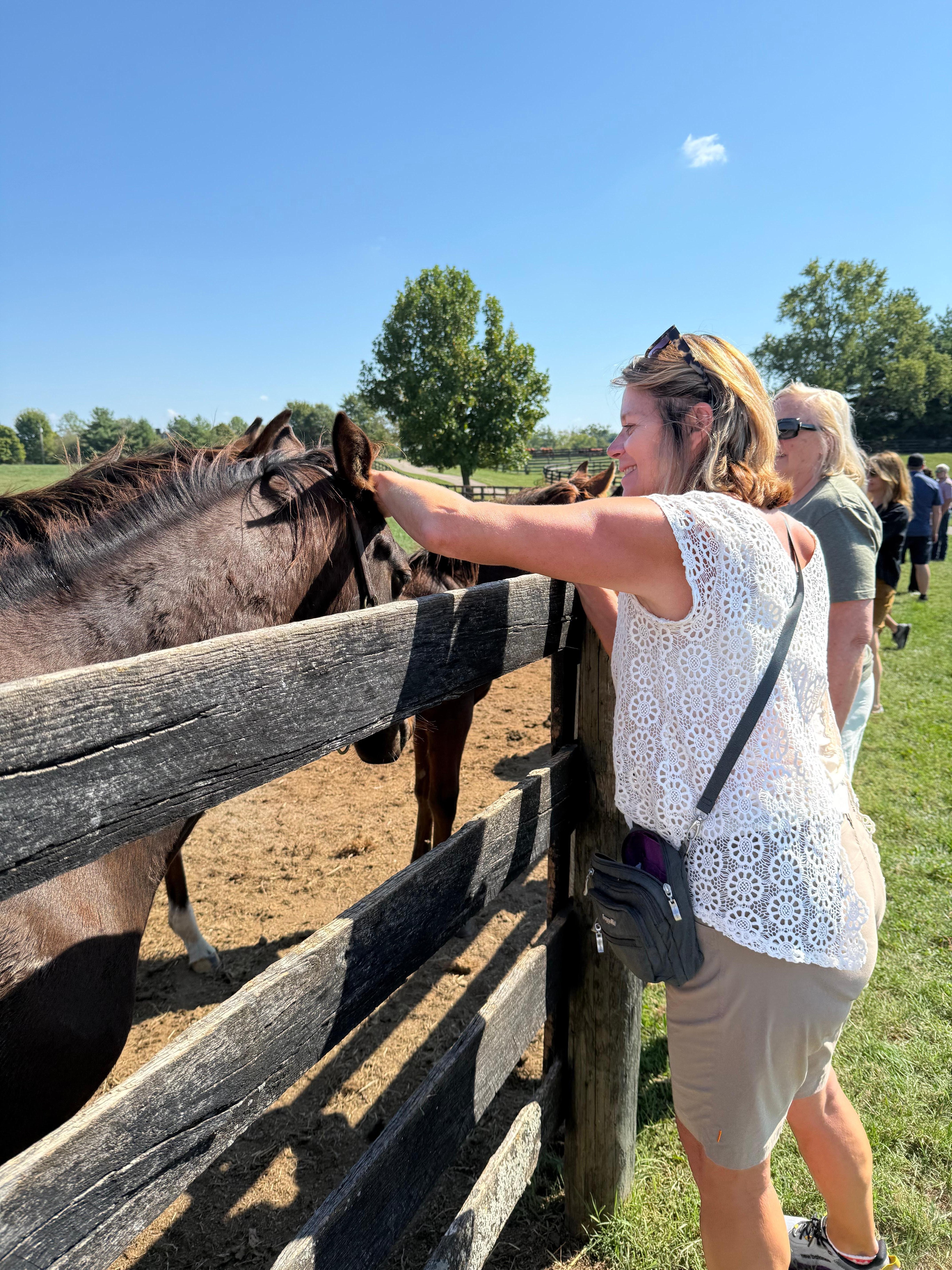 Horse farm. They may be the next big winner in a few years.
