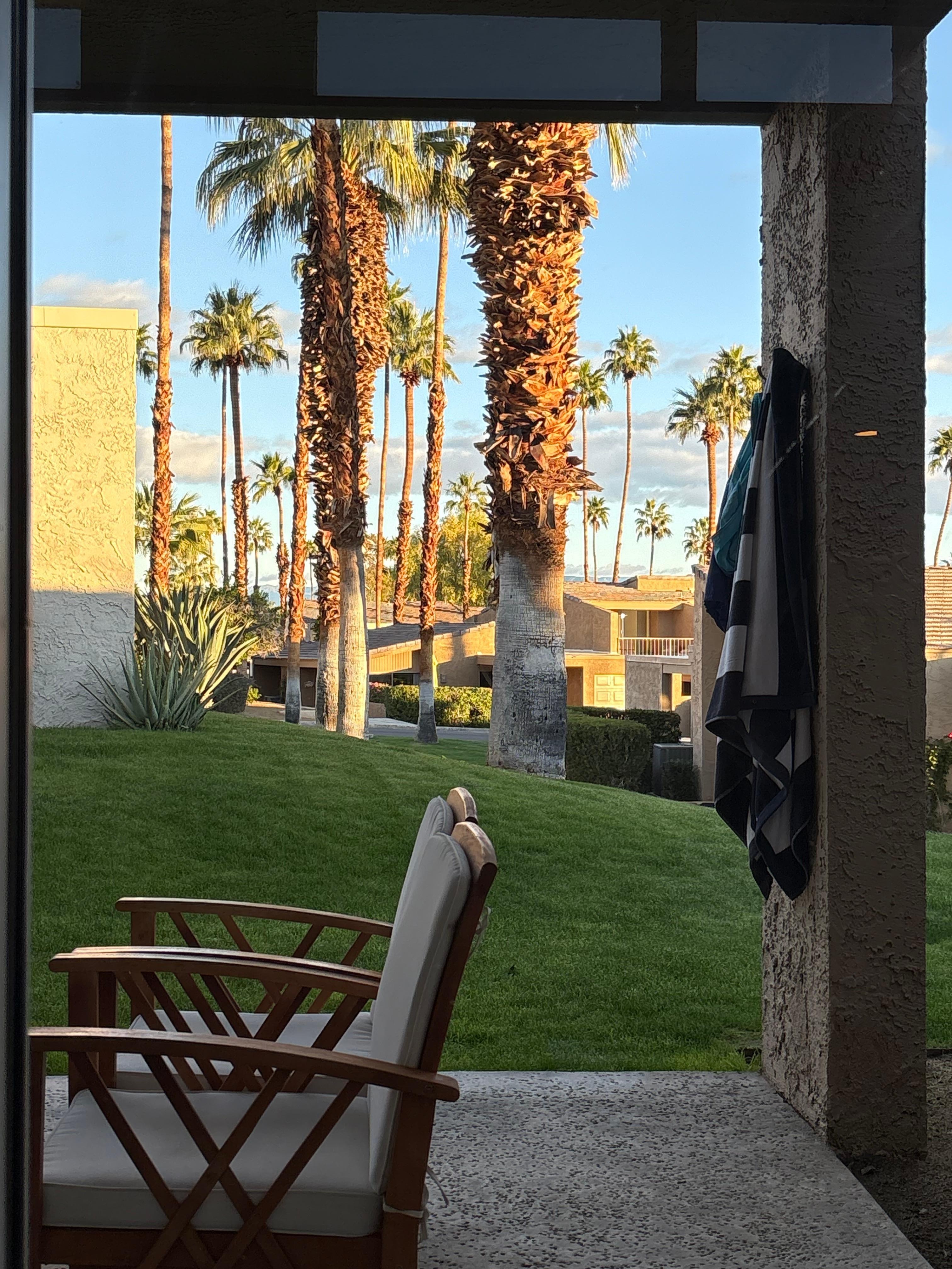 The view from our back deck. The pool is 30 steps to the right!