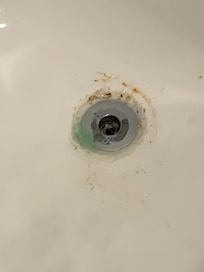 After I turned the shower water on this shot out first and every time I cut the water off