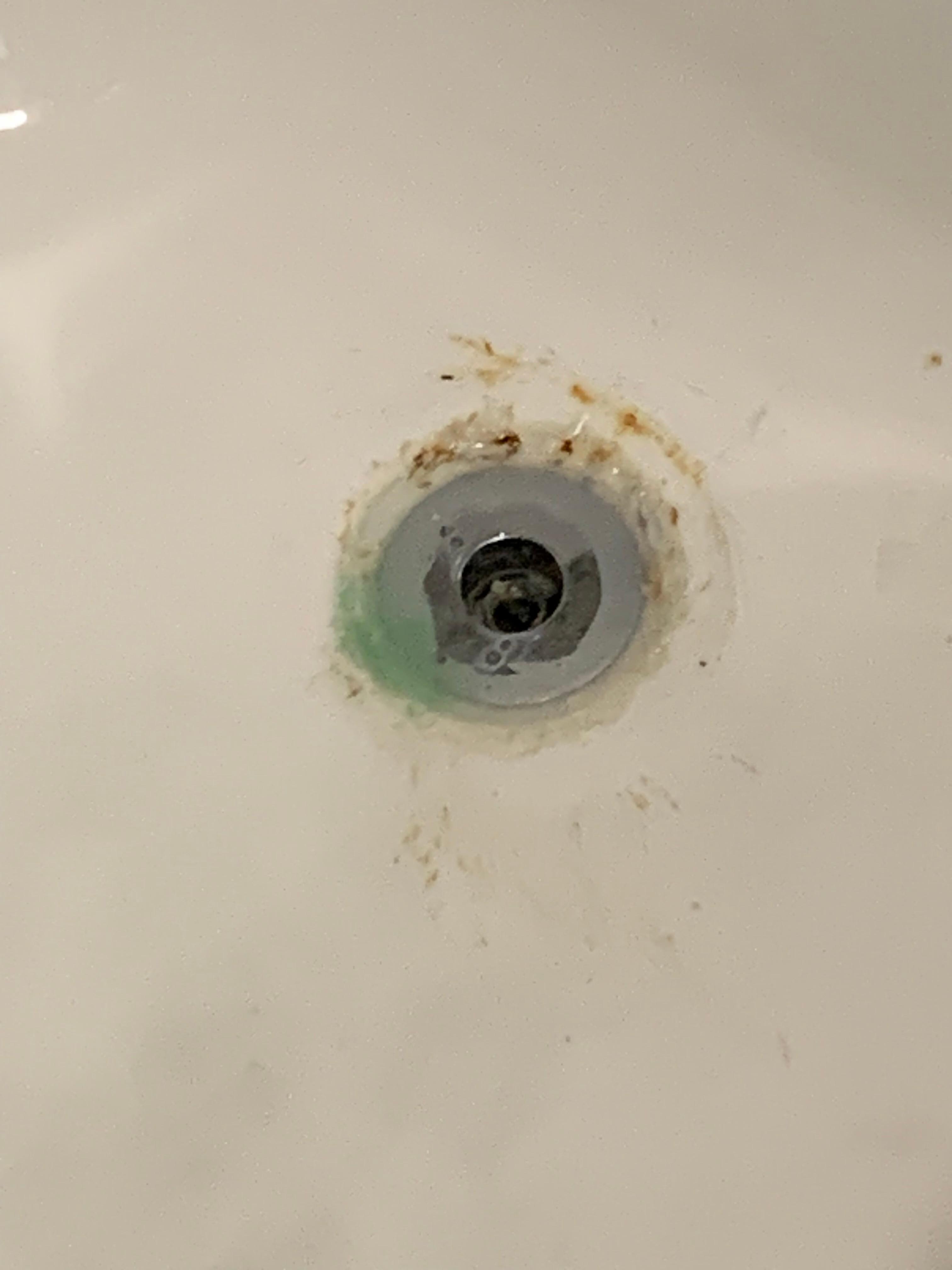 After I turned the shower water on this shot out first and every time I cut the water off