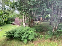 Lovely grounds