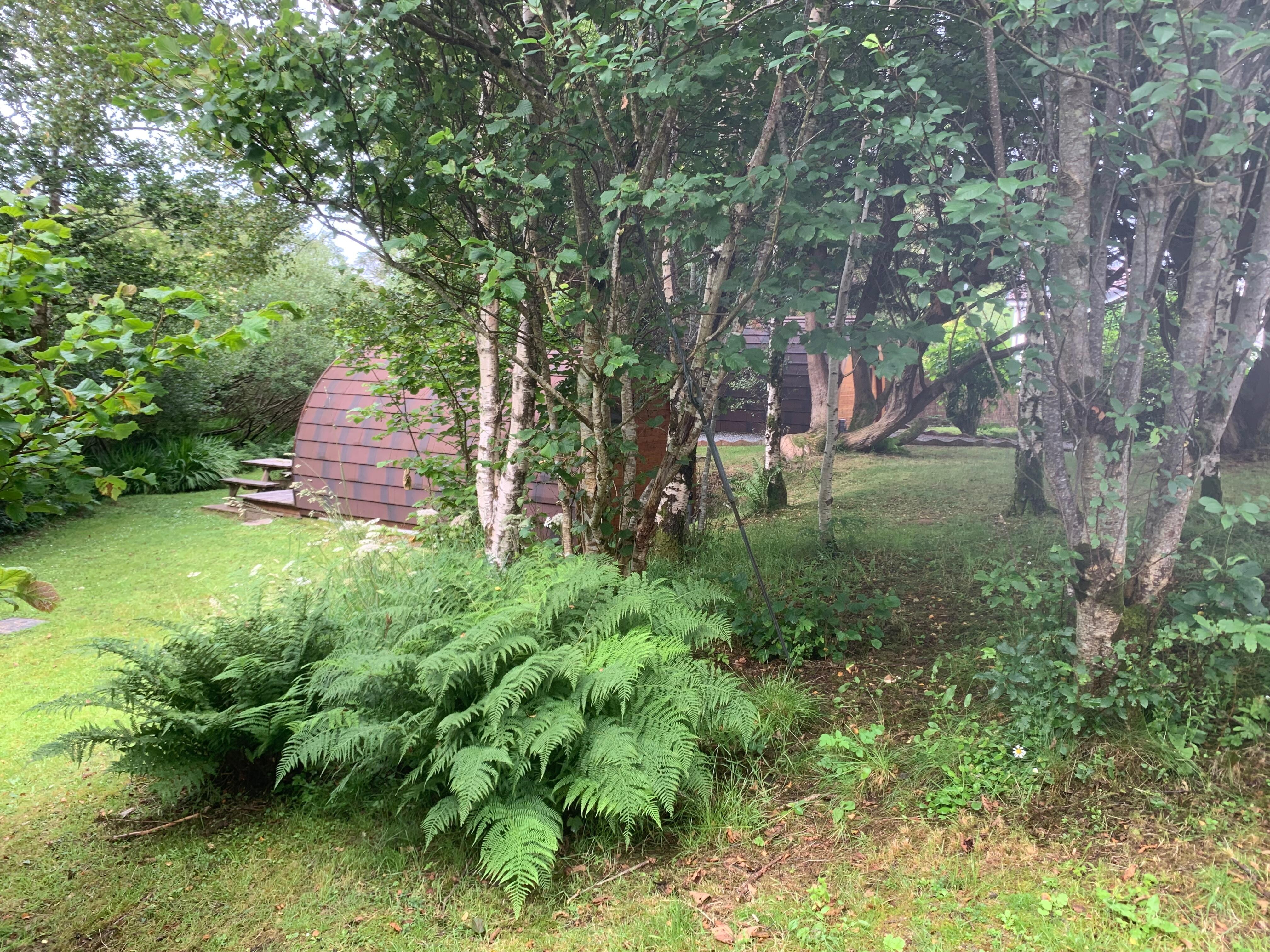 Lovely grounds