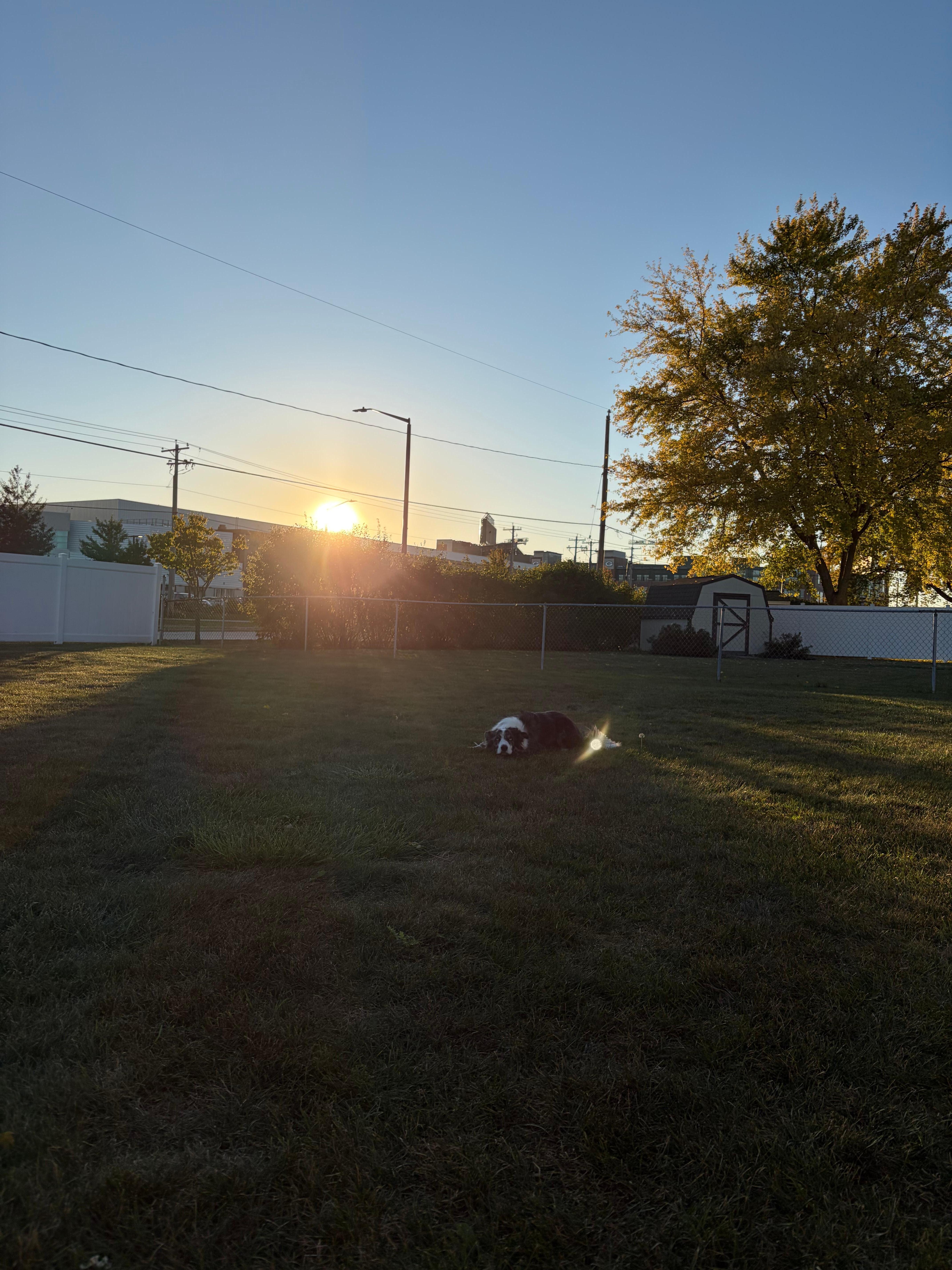 A view of Lambeau from the backyard.