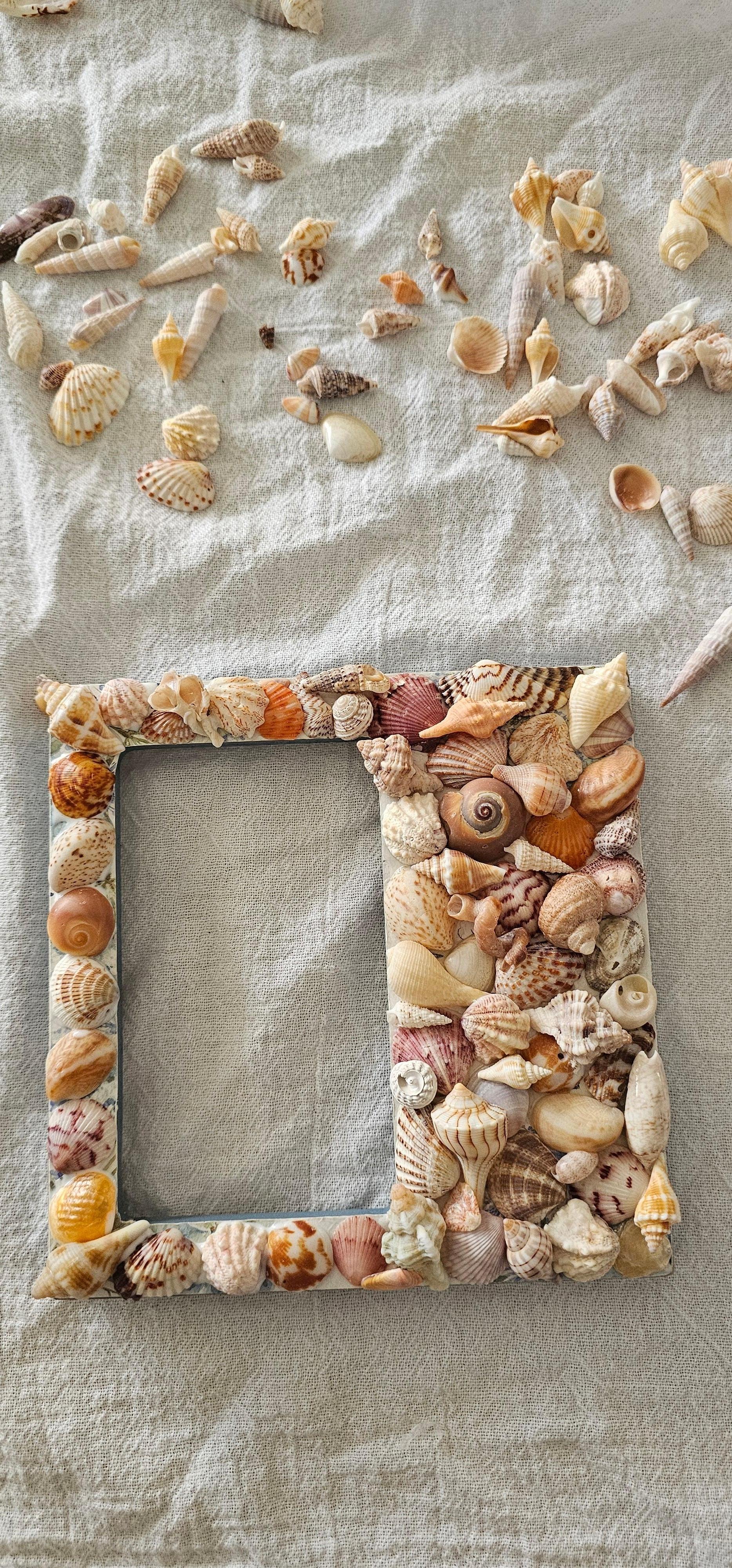 Decorated picture frames with shells we found.