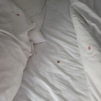 Bloody sheets