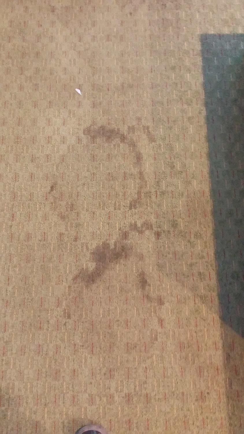 Do they even try to clean the carpets?!