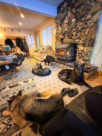 Relaxing by the fire