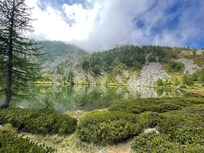 Omgeving
