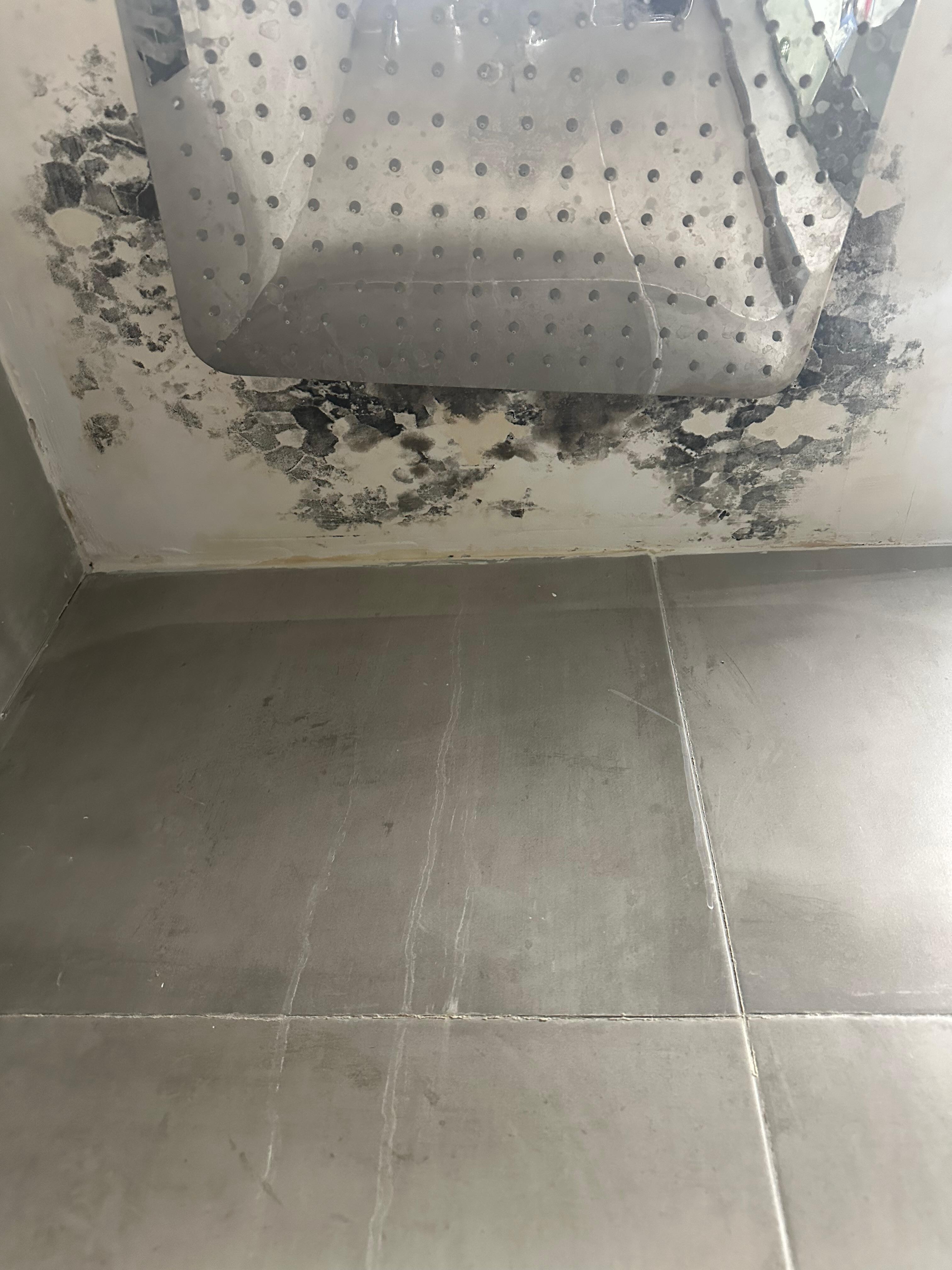 Mold on the shower ceiling 