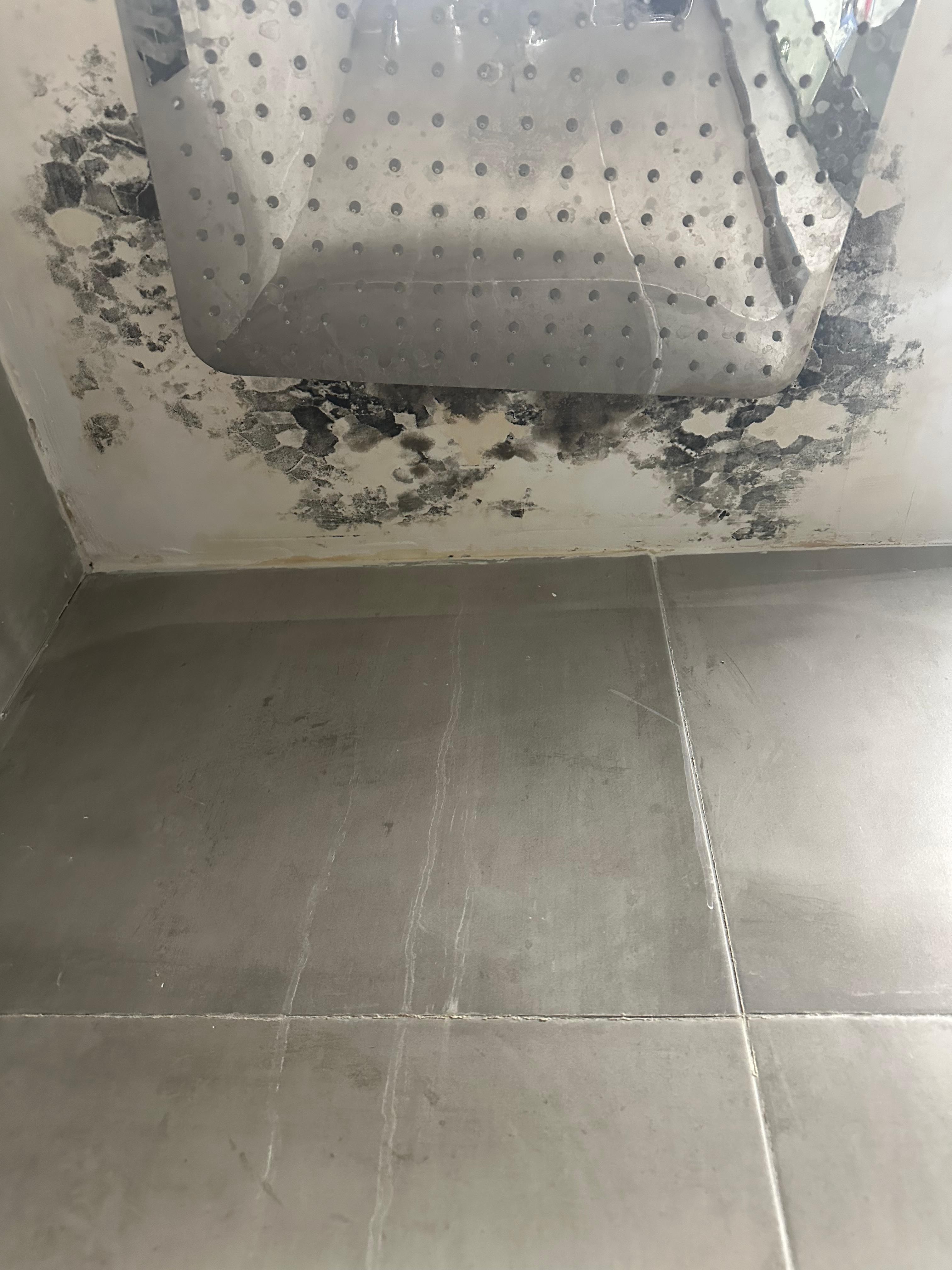 Mold on the shower ceiling
