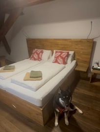 King bed