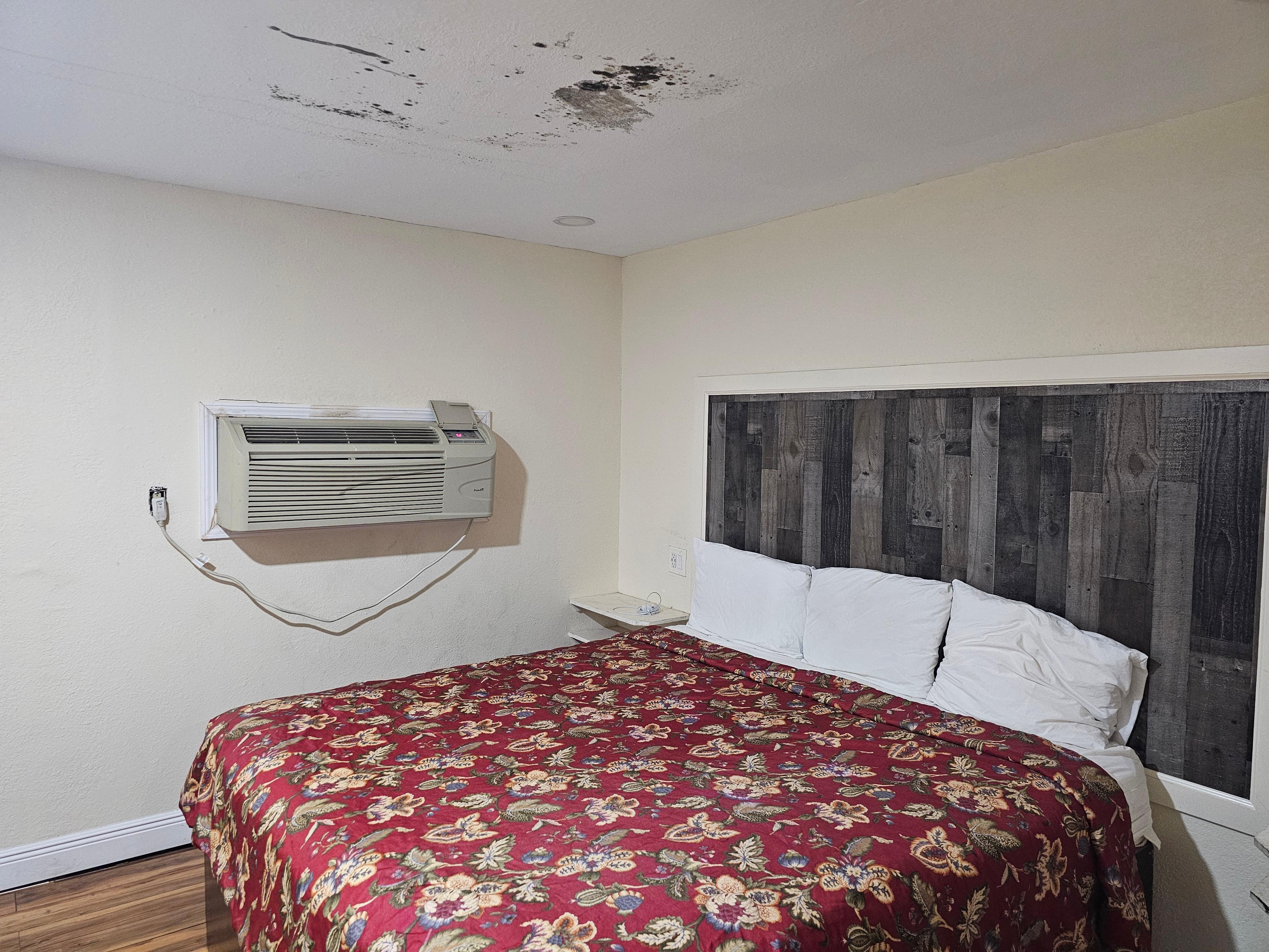 Black mold on ceiling. 