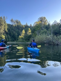 Pedal & Paddle with Todd