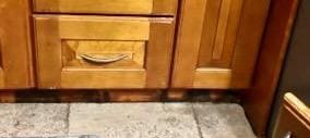 Black mold under kitchen cabinet by fridge