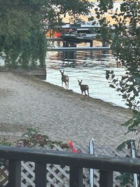 Early morning beach girls.