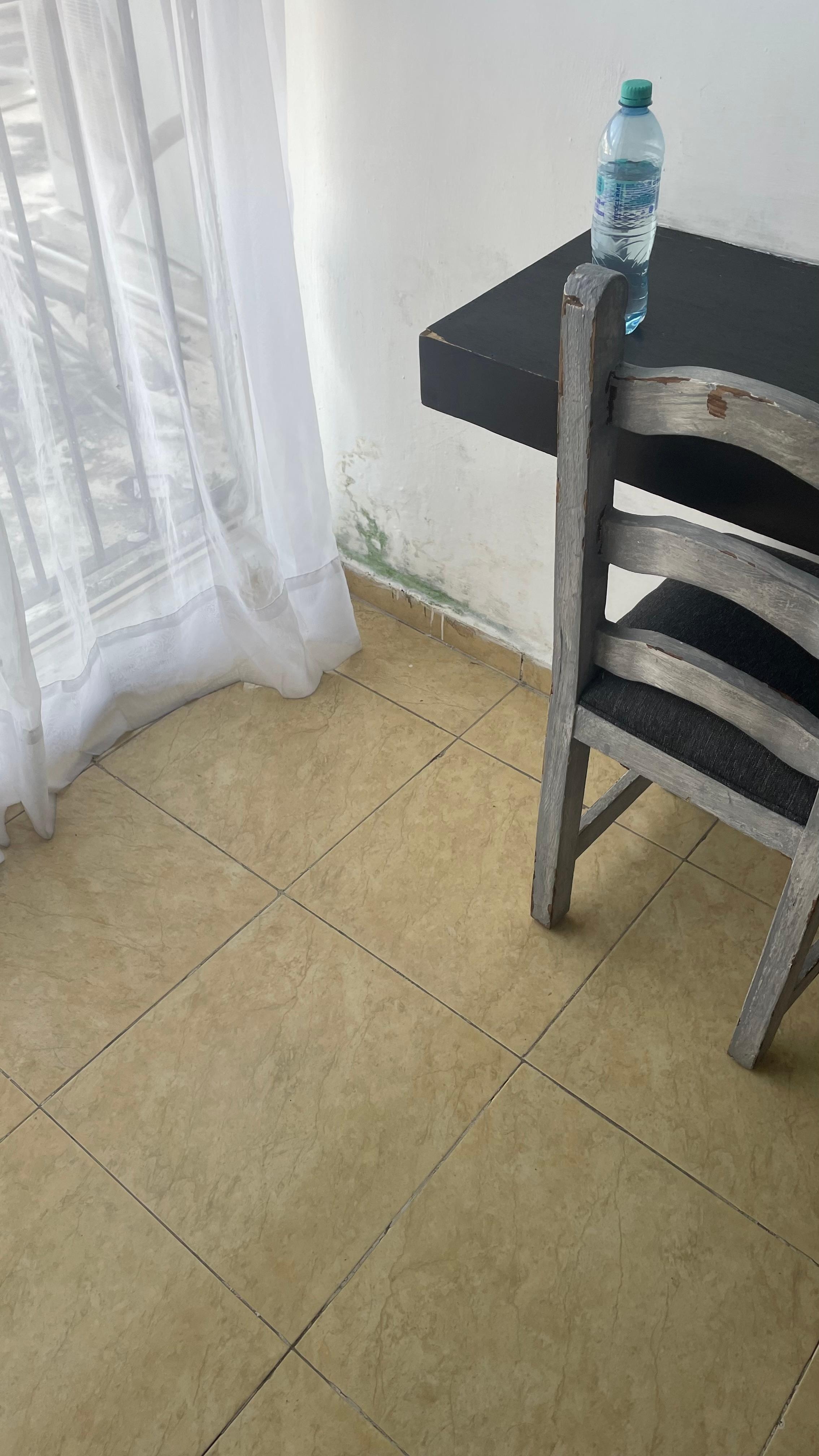 Observe e el hongo o Moo 