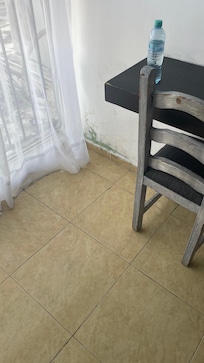 Observe e el hongo o Moo