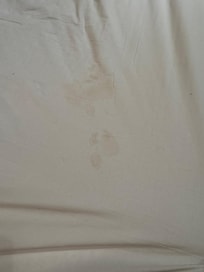 One of the stains on the sheets