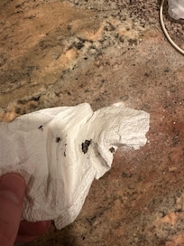 Dust/mold from the AC unit.