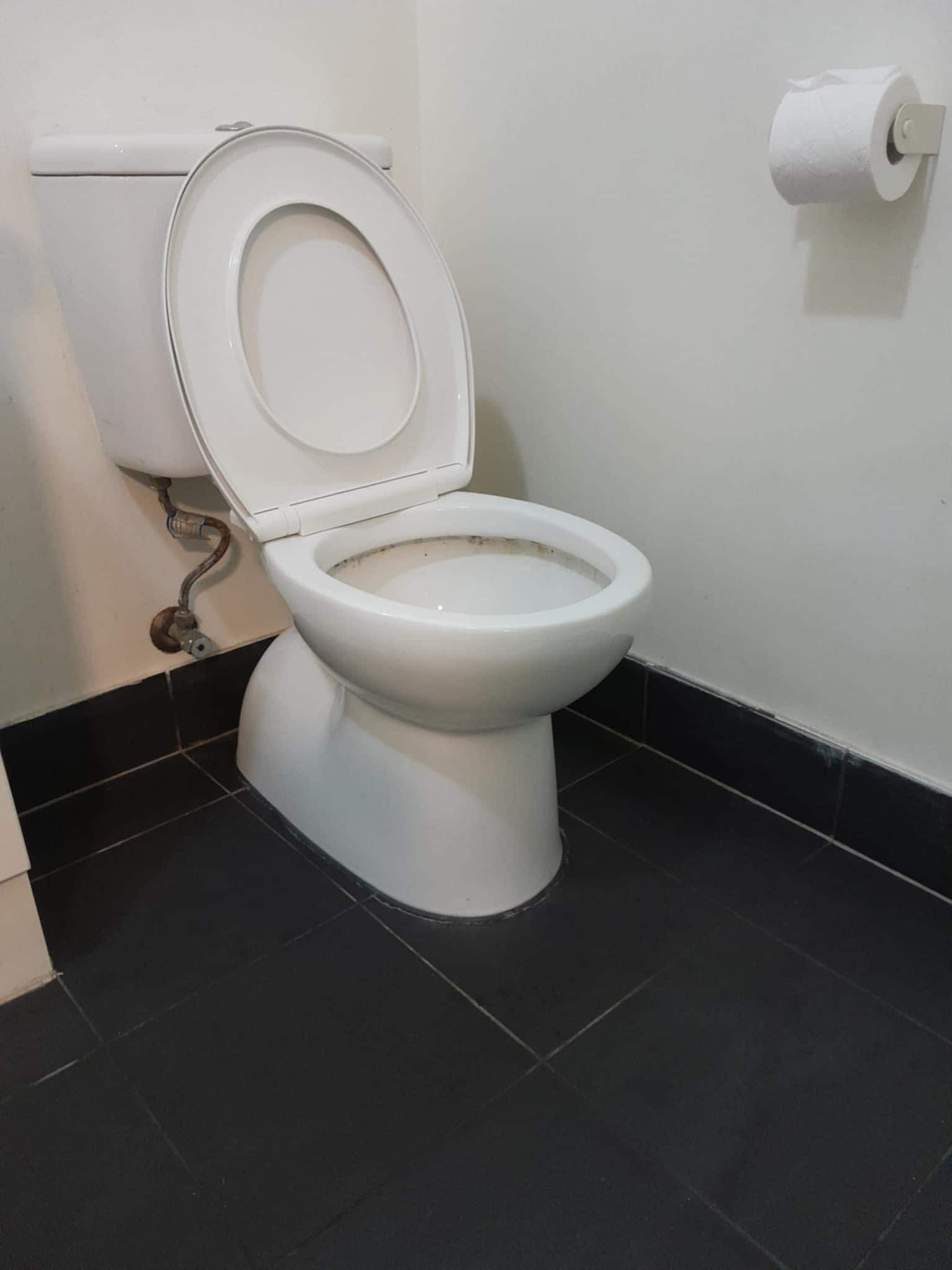 the toilet bowl with foul odour