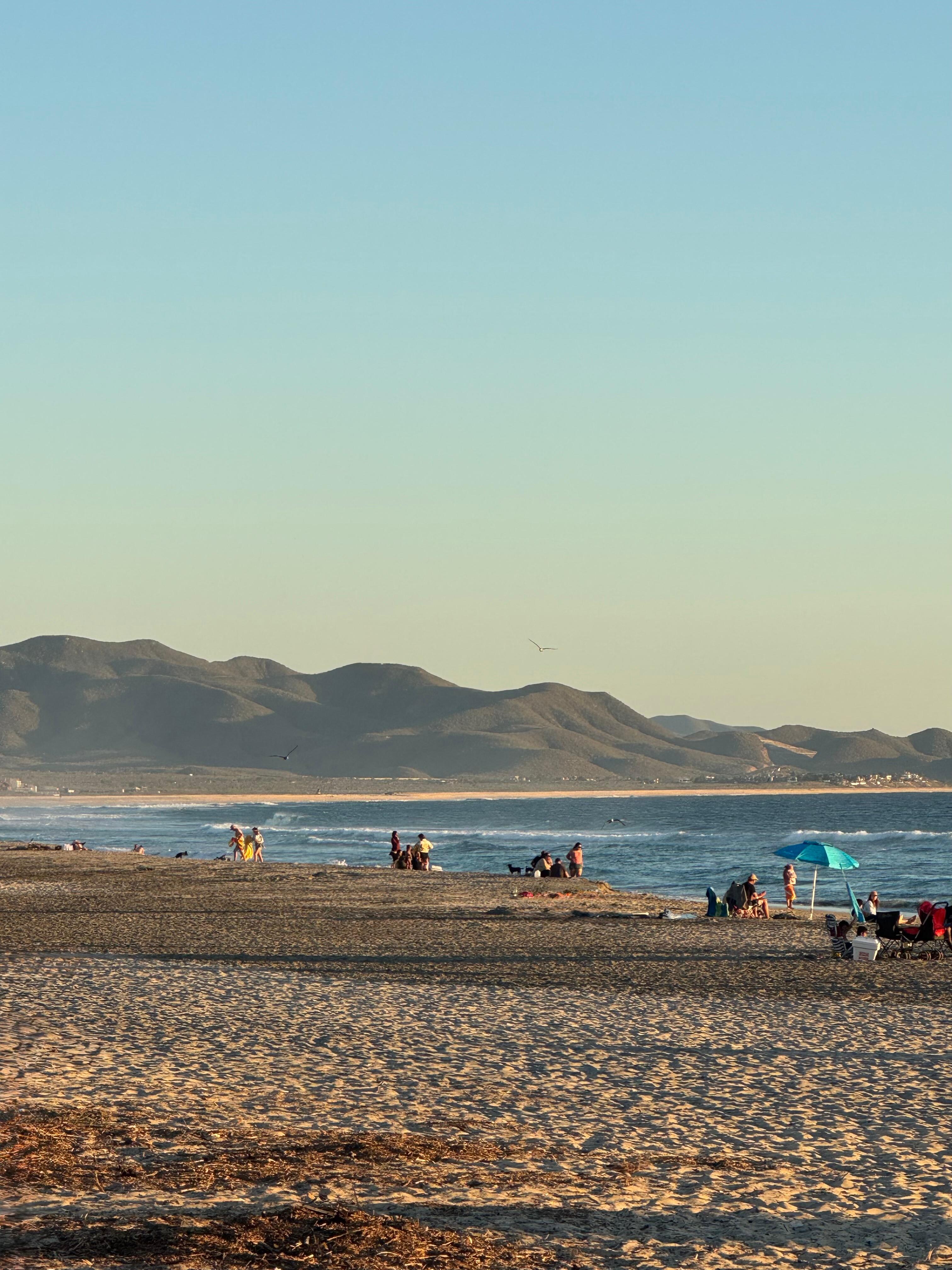Great beach to learn to surf 