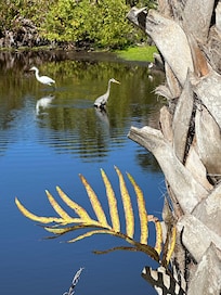 The property is so well maintained and friendly to people and nature.