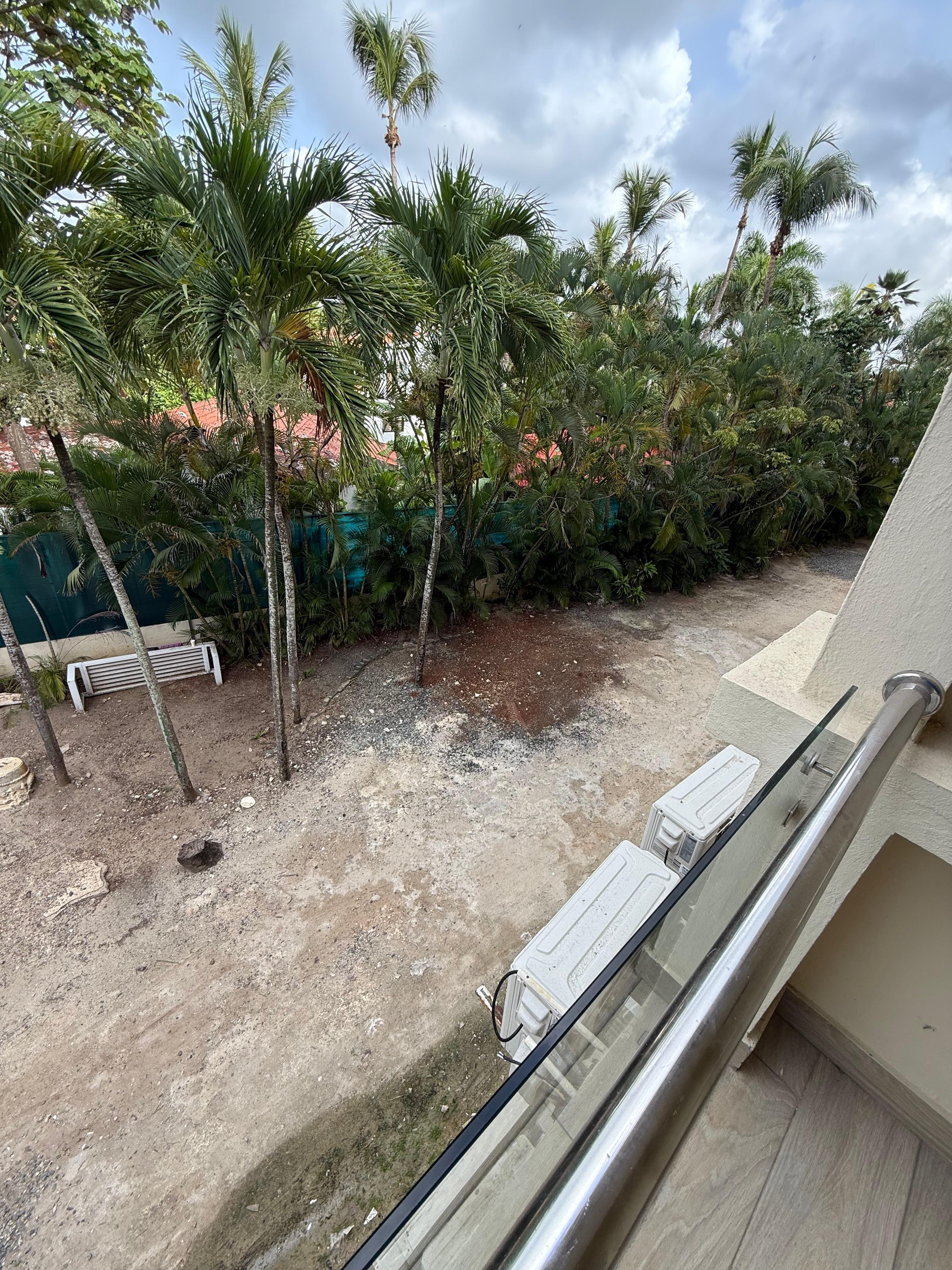 my view from the window