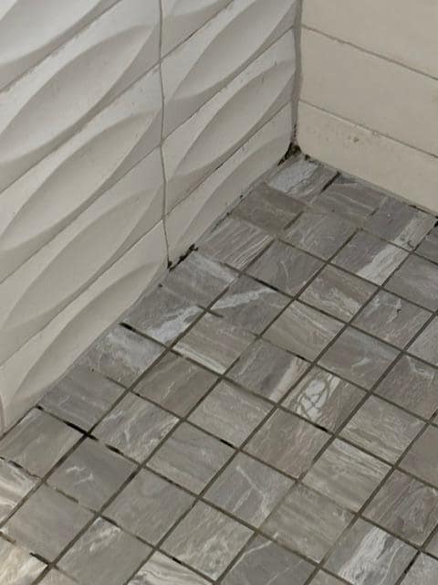 black mold in showers