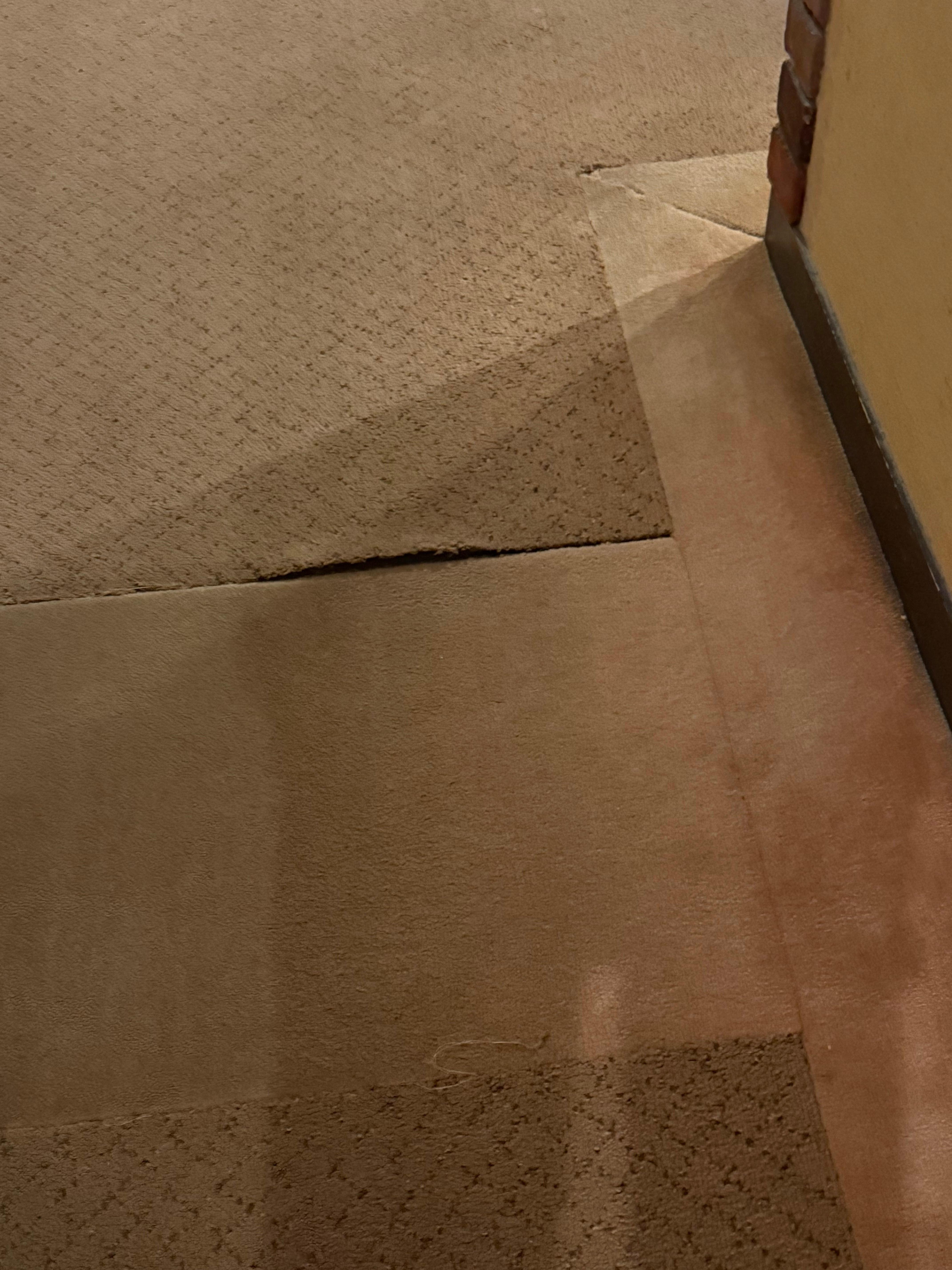 Disgusting dirty carpets