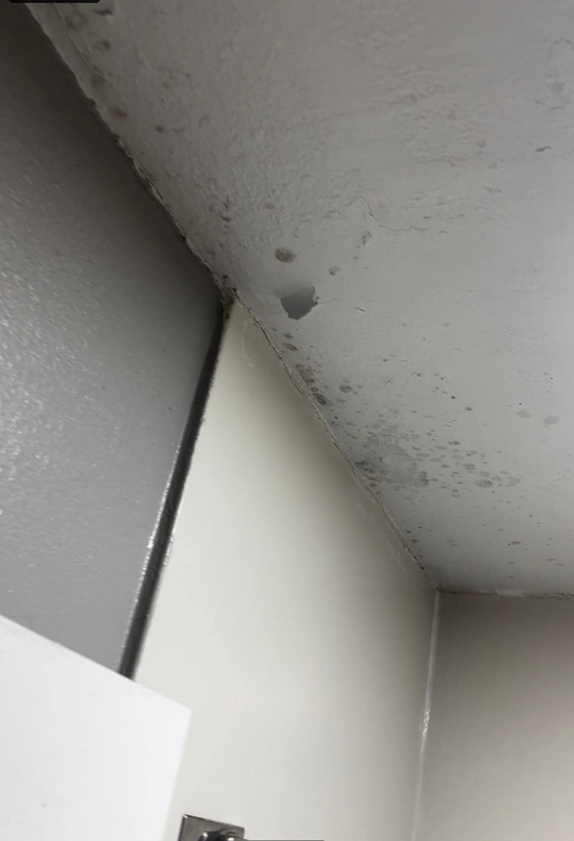 That’s not snow falling on your head 