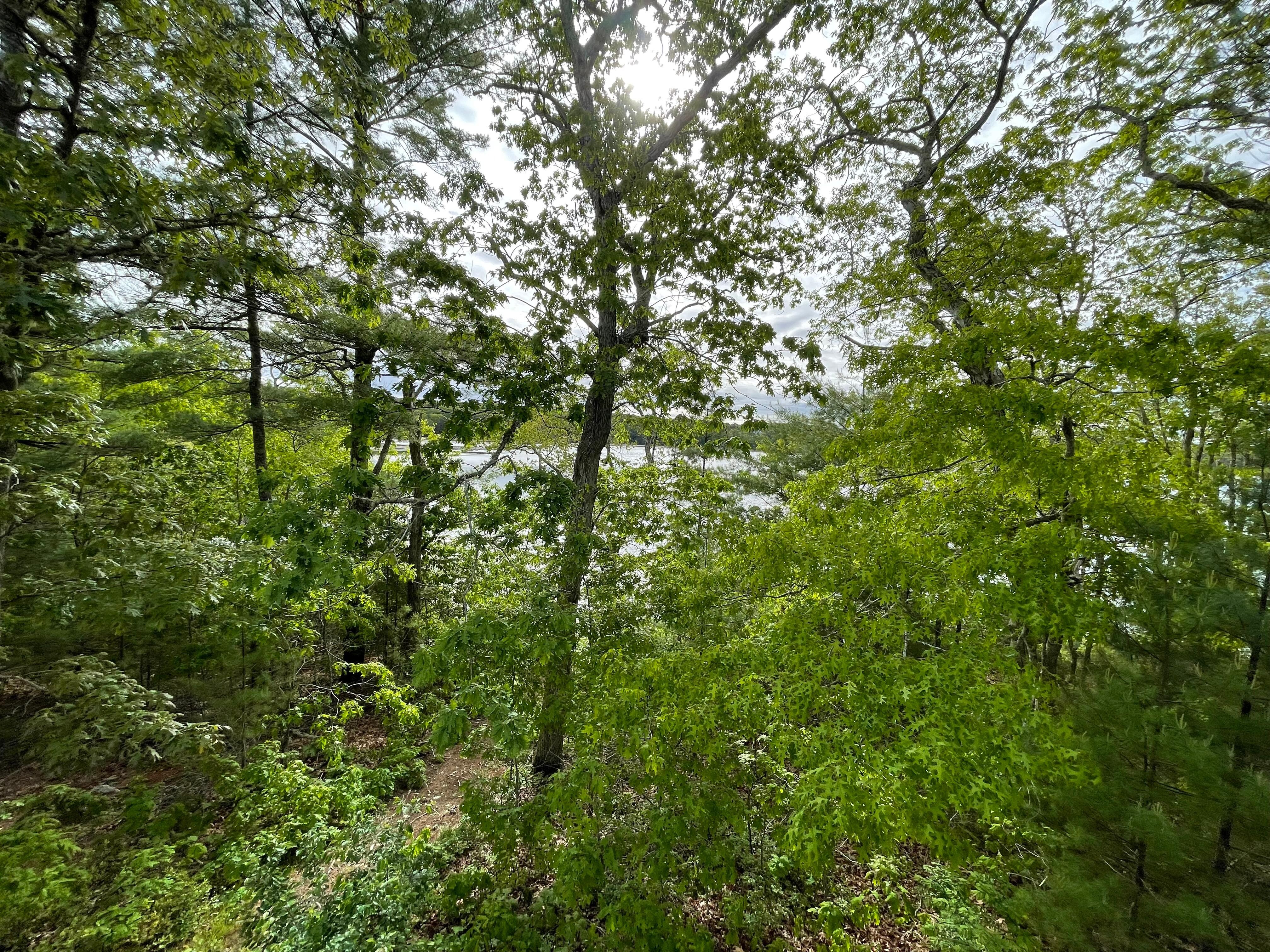 View from deck