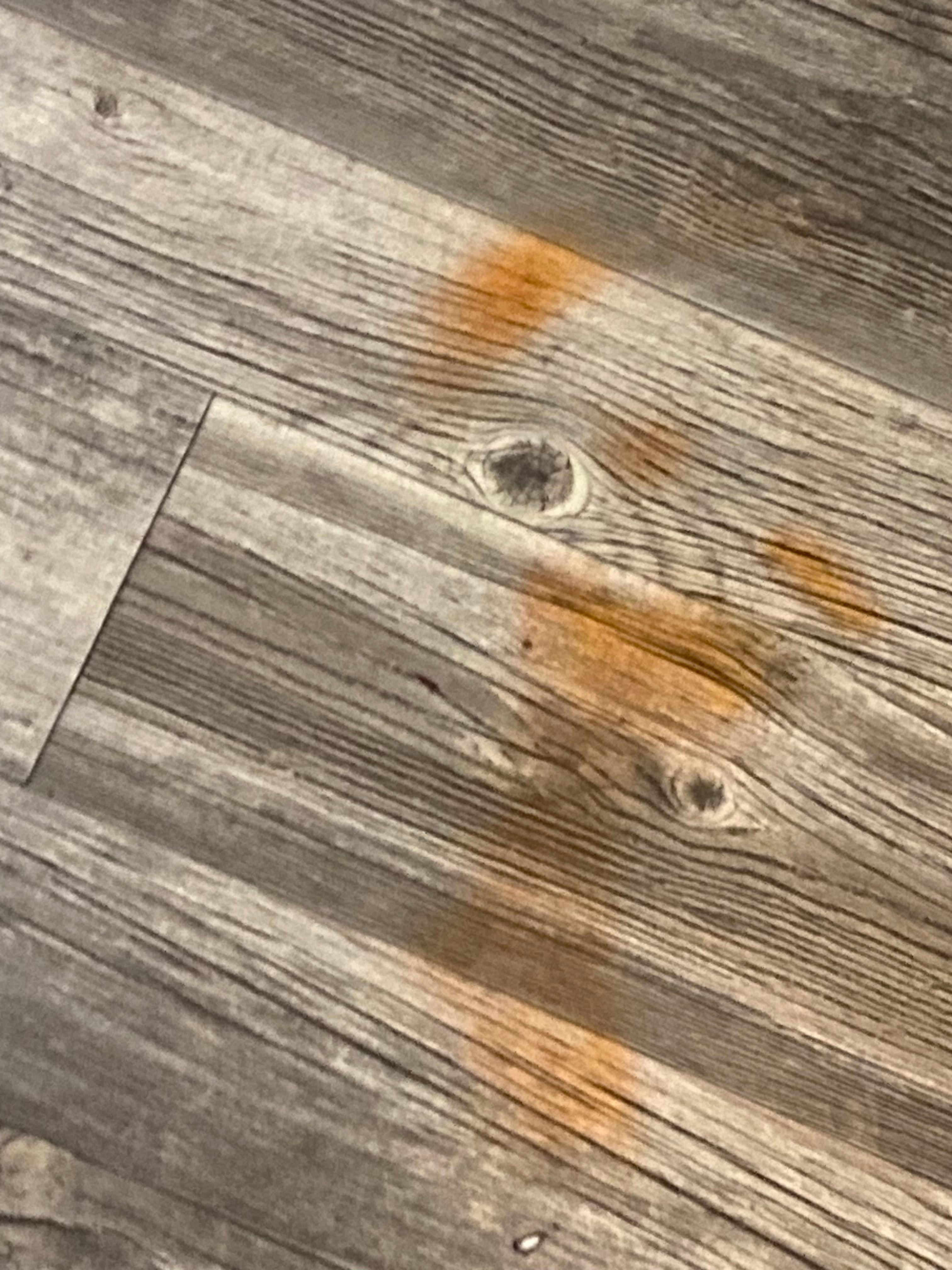 Floors need a good cleaning 