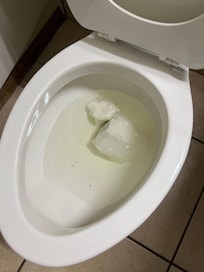 Someone else’s urine in the toilet