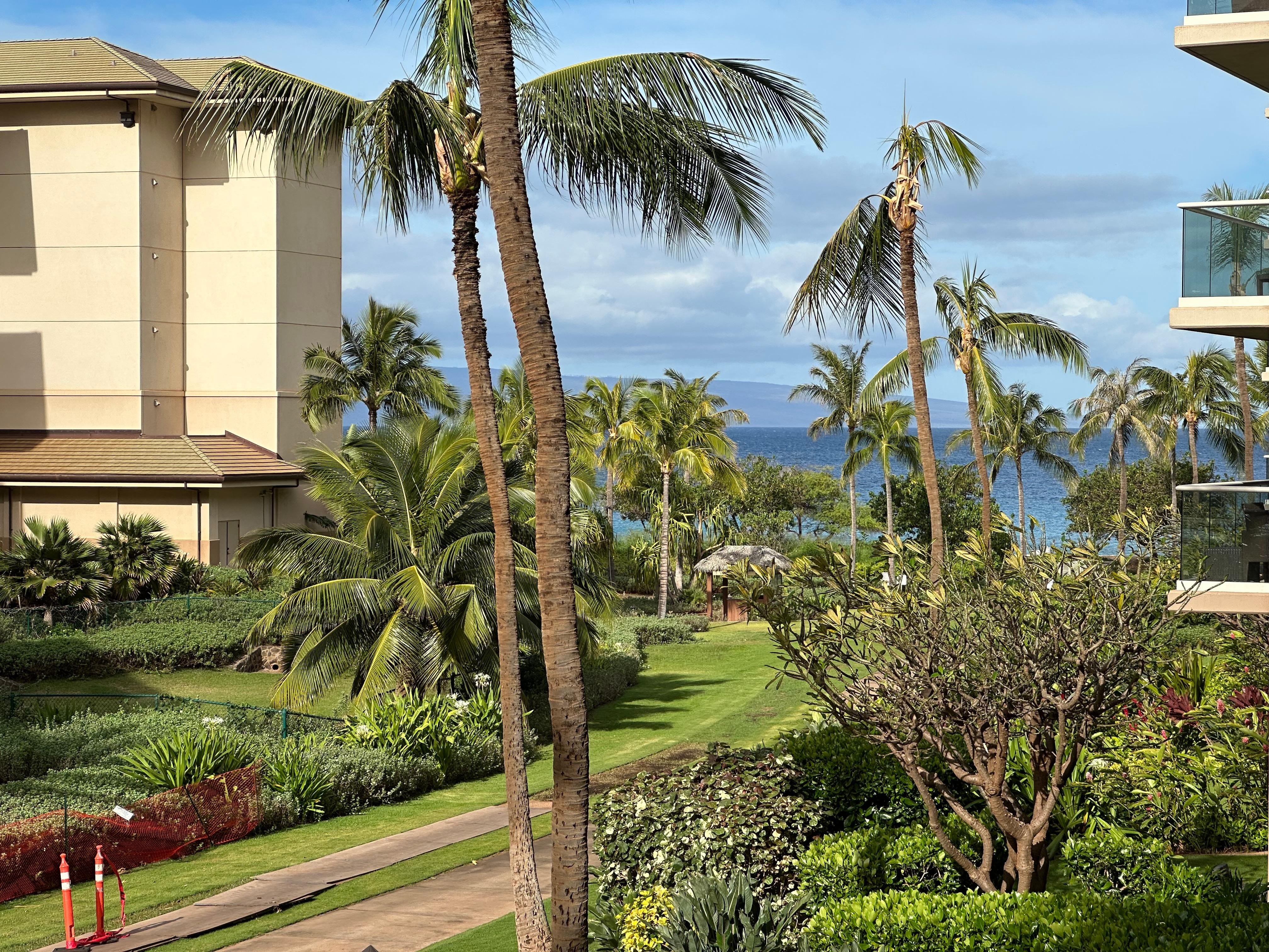 Coffee in the morning 