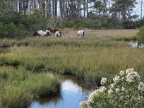 Assateque National Park 10 minute drive away.