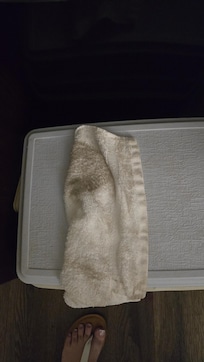 Washcloth used to clean up a tiny spot of spilled water