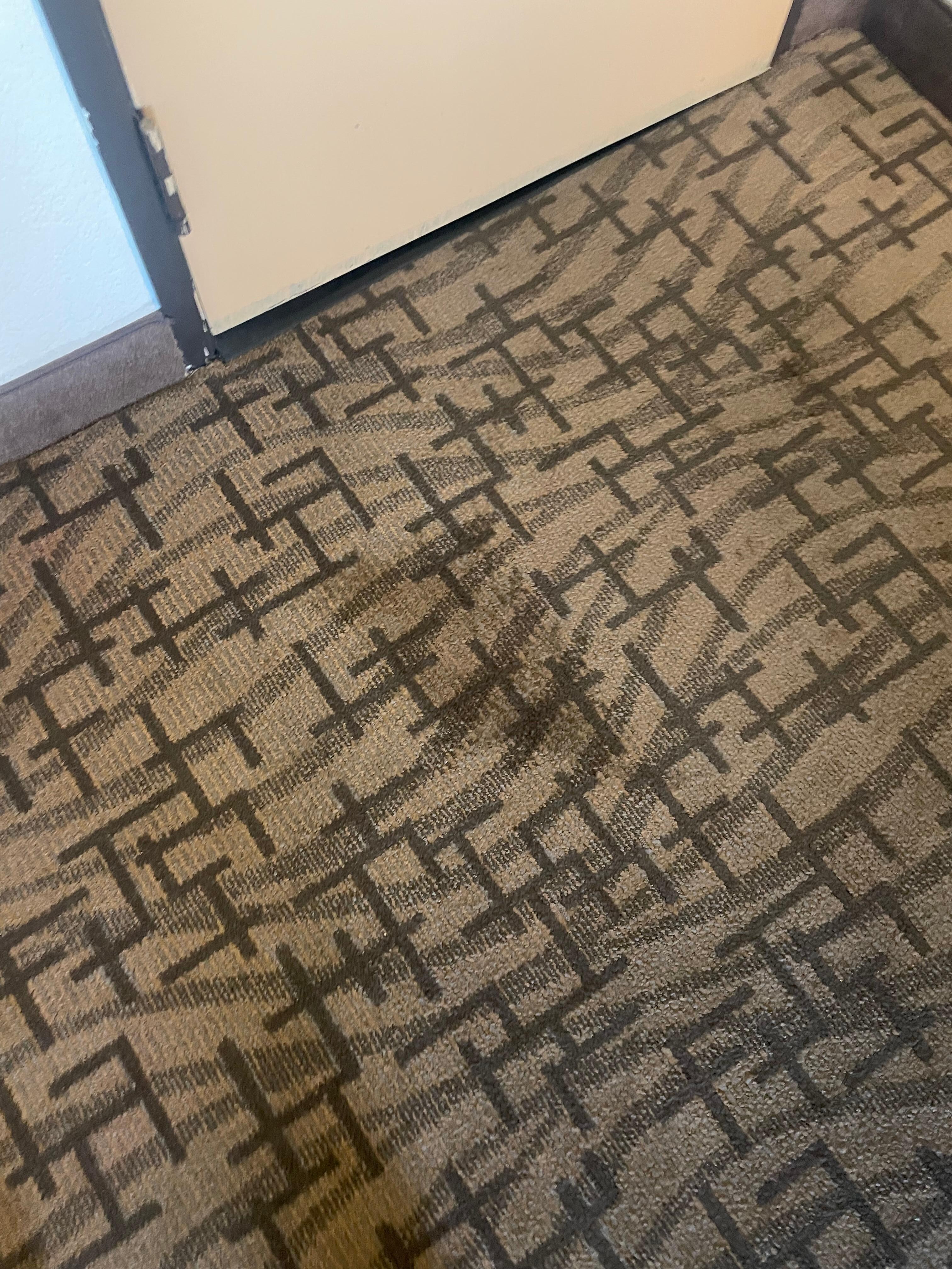 Another rooms carpet/ not good