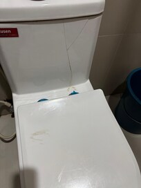 Broken toilet leaking water