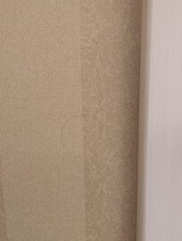 Hairs on wall