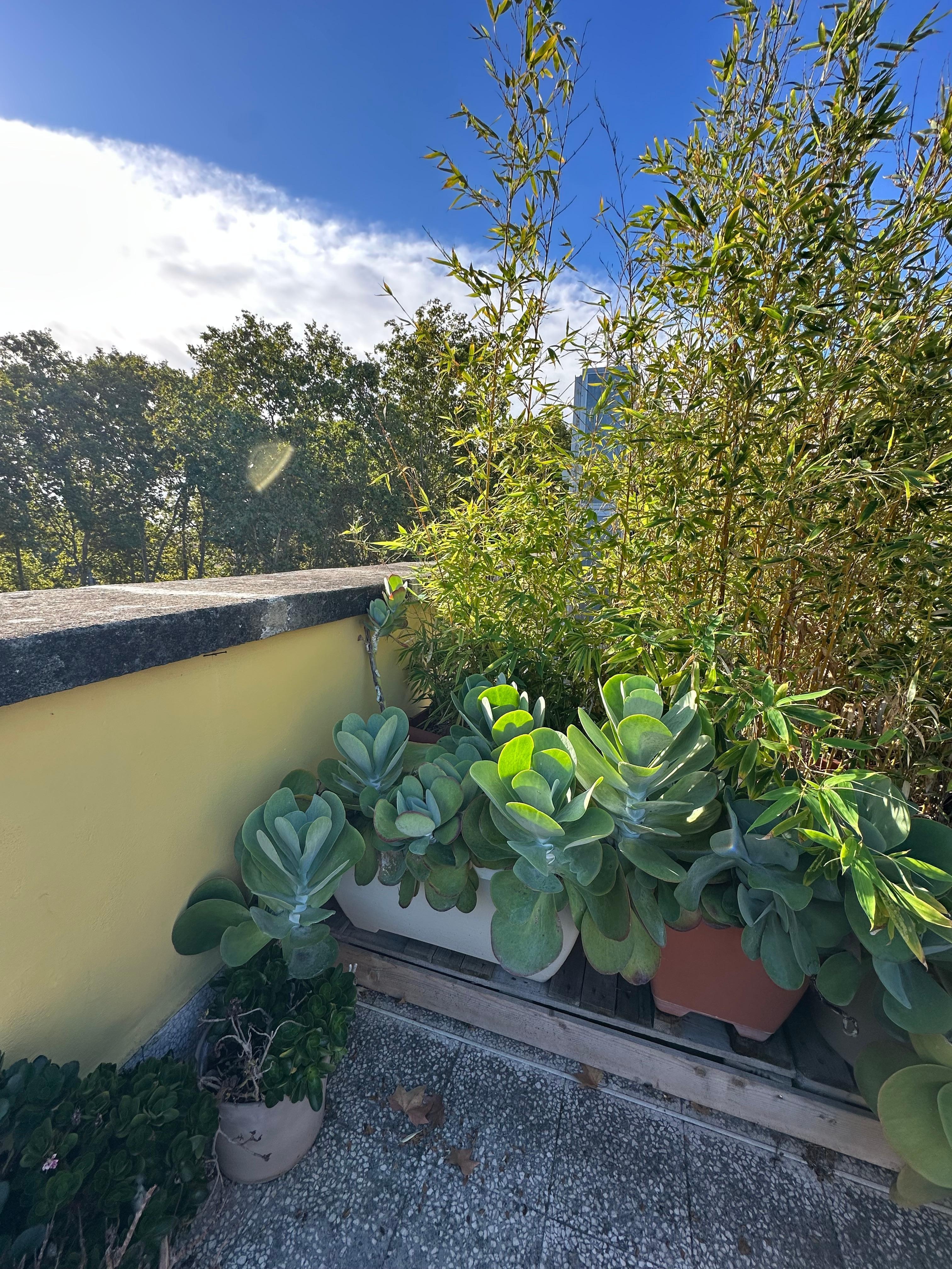 Gorgeous rooftop space! 