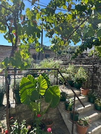 The family patio at the entryway.