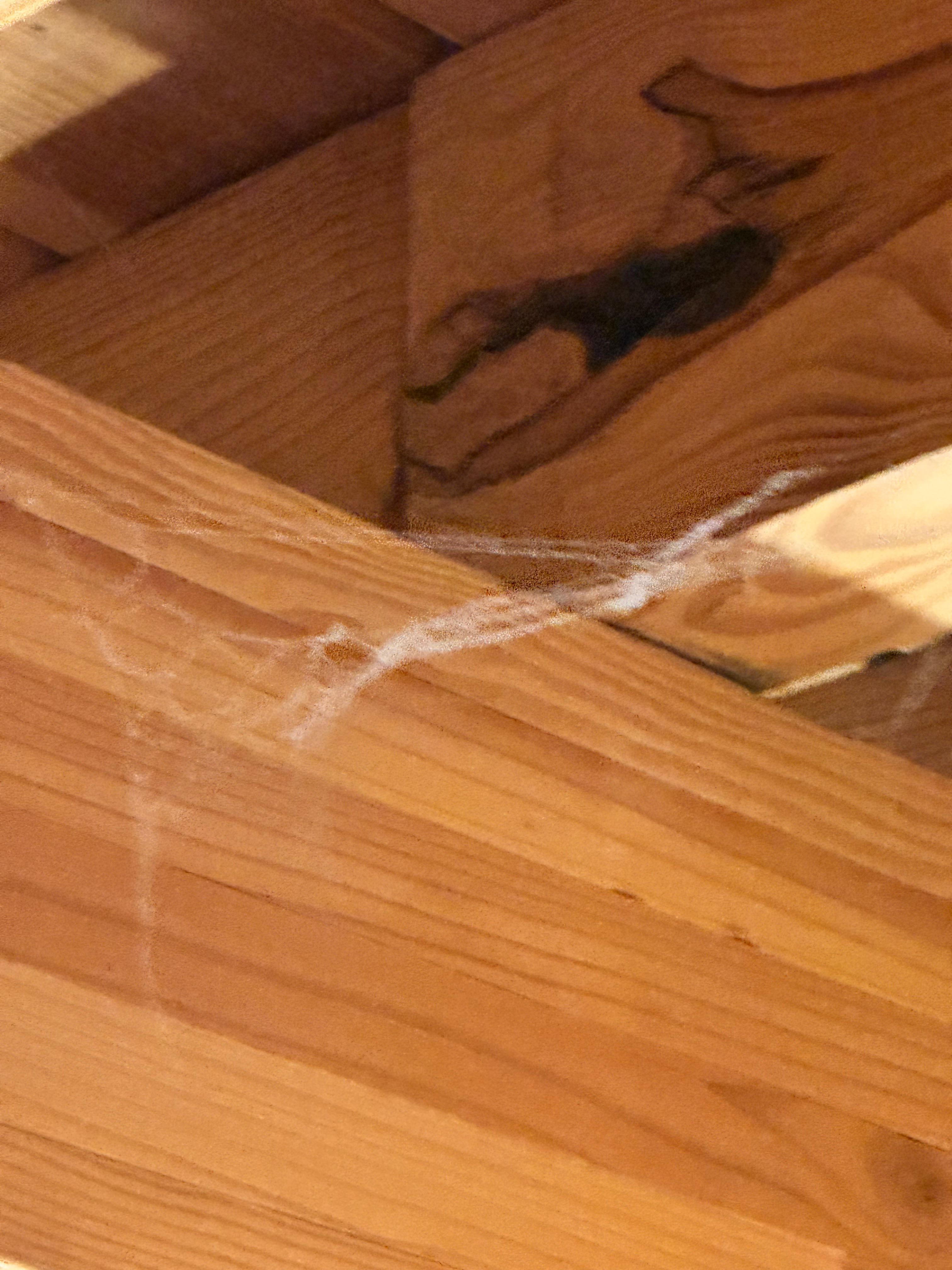 Cobwebs everywhere 