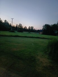 Mökin ikkunasta aamuyöstä. Yöllä lepakot saalistivat hyöntelsiä.